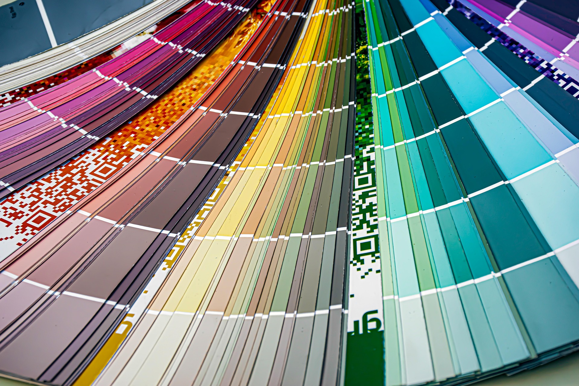 Popular Color Palette Types: Monochrome, Analogous, Complementary